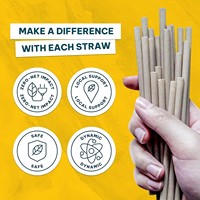 Pailles jetables en bagasse SOTON, pailles en papier brun biodégradables de qualité alimentaire, 200 mm, pour fêtes, Chine