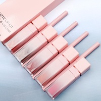 Kit de maquillage pour les lèvres personnalisé avec gloss et crayon à lèvres 2 en 1, gloss à lèvres rose mat nude et crayon à lèvres