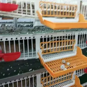 Nhà Máy Giá 6 Lớp Nhựa Bird Cage Với Thu Thập Hệ Thống Cho 400 Quails HJ-QC400B