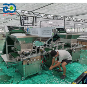 เครื่องหยอดเมล็ดแบบถาดสำหรับโรงเรือนเพาะชำผลไม้และผัก สายการผลิตแบบลูกกลิ้งสำหรับการปลูกต้นกล้า - Product Image 3