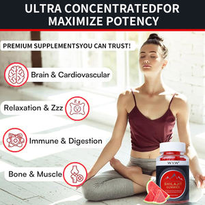 Venta al por mayor suplemento dietético Shilajit Gummies Vegano Alivio del estrés Suplementos de apoyo inmunológico Pure Shilajit Gummy - Product Image 4