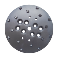 Plaque de ponçage hybride professionnelle en métal de 250 mm, 10 PCD + 6 boutons, grain grossier 60/80 pour l'élimination de la colle époxy épaisse et la préparation des sols
