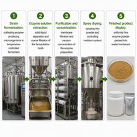 Pectinase, Enzyme Pectinolytique, Préparation d'Enzymes Polygalacturonases pour la Clarification des Jus et la Transformation du Vin