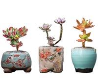 Pot keramik, Mini lucu buatan tangan keramik sukulen Desktop segar ornamen kreatif tanaman jempol bunga