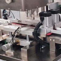 Machine de remplissage automatique haute capacité à 2 têtes pour bouteilles de boissons et de lotions corporelles