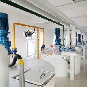 Línea de Producción Automática de Refinación por Prensado en Frío y Caliente de 30 TPD para Aceites de Palma, Nuez y Oliva - Marca Dingsheng, Larga Vida Útil - Product Image 3