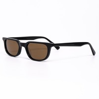 Lunettes de soleil de luxe 2513 en acétate de haute qualité, monture petite, motif écaille vintage, verres polarisés TAC, personnalisables avec logo, pour femmes et hommes
