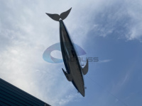 Delfines Inflables en Oferta, Globo con Control Remoto, Delfines Voladores Publicitarios, Espectáculo de Globos Voladores, Delfín Volador Atractivo