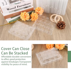 Plateau en PET à 24 alvéoles pour œufs de caille, emballage plastique jetable écologique pour aliments, idéal pour la vente en gros et la distribution sur le marché - Product Image 5