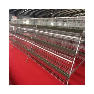 Cages à poulet en soie galvanisée de haute qualité, semi-automatisation de type A