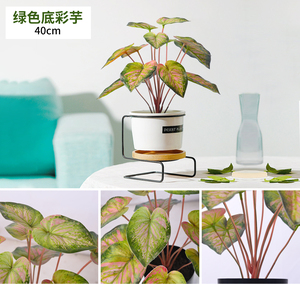 Adornos de Decoración para el Hogar de Estilo Nórdico, Palmera Areca Verde Arcoíris, Planta <span class=keywords><strong>Artificial</strong></span> de Plástico de Alta Simulación en Maceta, Bonsái - Product Image 4