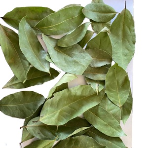 ลอเรลใบไม้ธรรมชาติเกรดแรกสำหรับใส่ในกล่องขนาด4-7ซม. 10กก. อบแห้งสมุนไพรดิบจากธรรมชาติ - Product Image 4