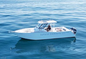 Bateau de plaisance à console centrale rapide en aluminium de 11,6 m (36 pieds) pour la navigation de plaisance, la plongée et la pêche, à vendre avec moteur hors-bord - Product Image 6