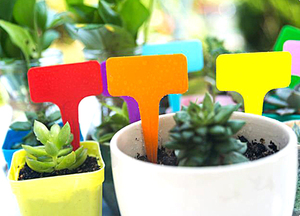 100 pezzi <span class=keywords><strong>per</strong></span> confezione 6x10cm etichette <span class=keywords><strong>per</strong></span> <span class=keywords><strong>piante</strong></span> di grandi dimensioni in plastica impermeabile all'ingrosso etichette <span class=keywords><strong>per</strong></span> <span class=keywords><strong>piante</strong></span> in plastica etichetta <span class=keywords><strong>per</strong></span> <span class=keywords><strong>piante</strong></span> in plastica <span class=keywords><strong>per</strong></span> giardino - Product Image 6