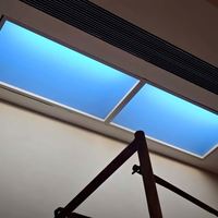 Panneau de lumière solaire LED artificielle moderne en alliage d'aluminium et acrylique, étanche IP66, haute luminosité, garantie 3 ans pour la maison