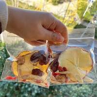 Natuurlijk gedroogde fruitthee zakjes gemengde fruitschijfjes meerdere smaken transparante individueel verzegelde zakjes koud warm te zetten OEM ODM