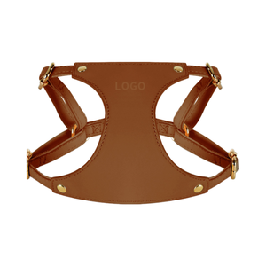 Directo de fábrica, conjunto de correa de arnés de cuero de alta calidad para mascotas, correa de pecho acolchada para perros pequeños y medianos, Collar de perro de moda para gatos - Product Image 2