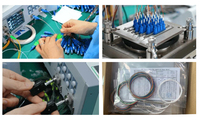 Répartiteur PLC Fibre Optique 1x2 Monomode 2.0mm Boîtier Plastique ABS Avec Connecteur SC PON FTTH