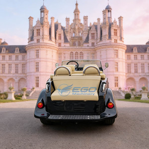 Voiture de tourisme panoramique de luxe pour adultes à 6 places, style antique, classique et vintage, certifiée CE, des fabricants - Product Image 2