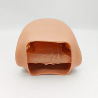 Modelo de Demostración de Cavidad Oral Flexible de Silicona Suave de Gran Tamaño con Cepillo de Dientes