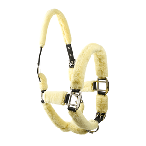 Resistente e confortevole <span class=keywords><strong>per</strong></span> la cura del cavallo fornisce attrezzature essenziali <span class=keywords><strong>per</strong></span> l'allenamento equino-collare a testa in lana cavallo capestro briglia - Product Image 5