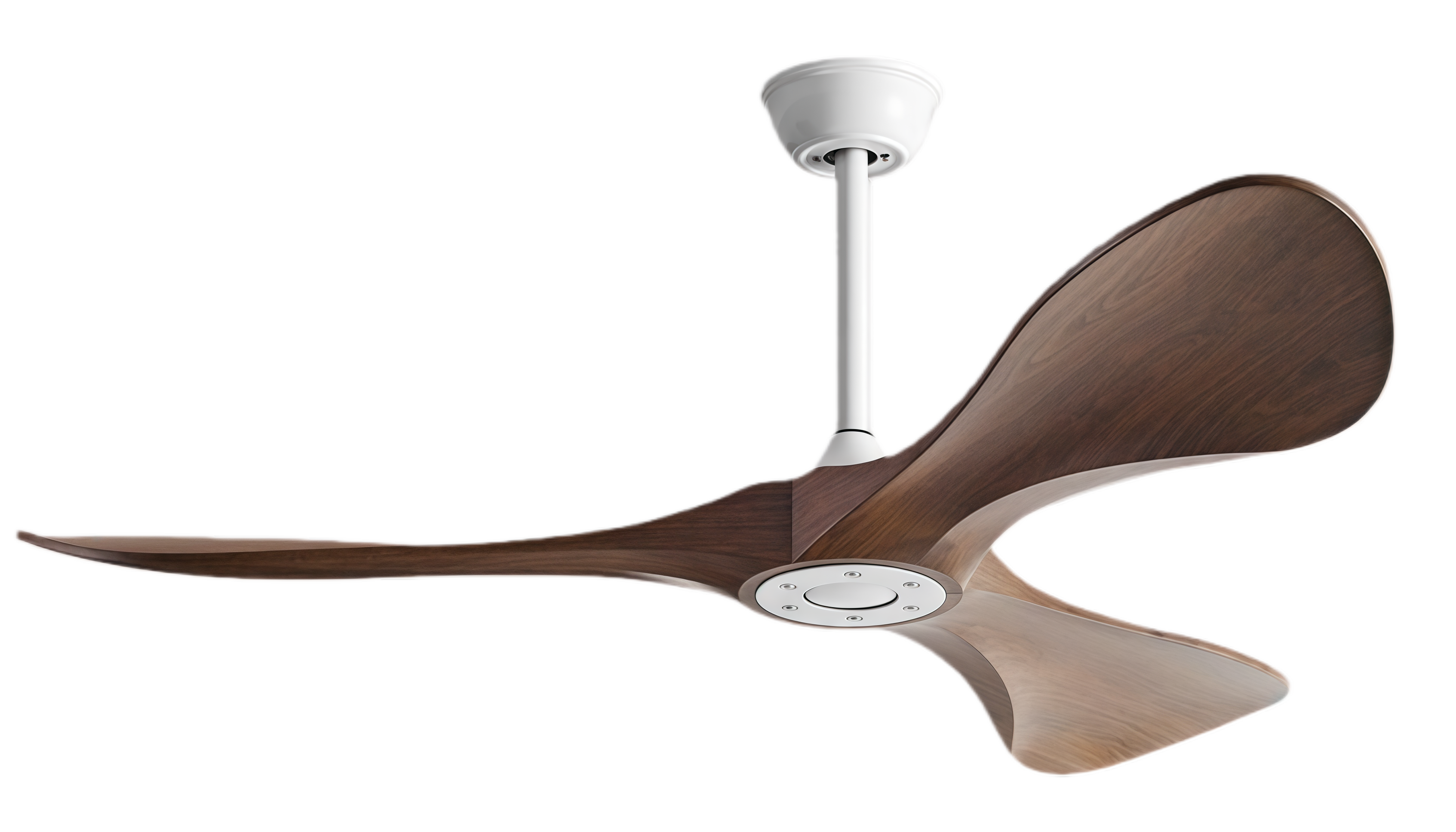 ไม้วอลนัท