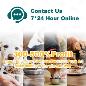 פופולרי ביותר חתול אנטי אלרגיה טבליות לעיסה רך כדי להגביר את המערכת החיסונית, תוספי חיות מחמד - Product Image 5