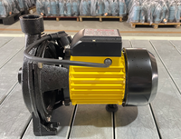 Pompe centrifuge à courant continu de pompe à eau solaire 110V 0.75HP pour l'irrigation agricole OEM personnalisable pour la grande surface terrestre