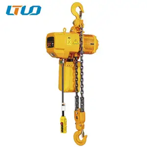 China Electric Chain Hoist Stationary Type 2 Ton Electric Chain Block Crane