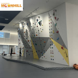 <span class=keywords><strong>Parete</strong></span> per arrampicata su roccia Indoor pannello per arrampicata masso arrampicata su <span class=keywords><strong>parete</strong></span> Bouder - Product Image 5