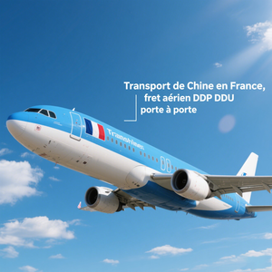 上海至比利时安特卫普布鲁塞尔整箱集装箱快速门到门海运服务 - Product Image 3