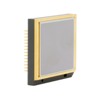Capteur thermique LWIR RTDS123C 12 µm 1280x1024 40mk NETD Microbolomètre VOx Boîtier céramique pour vision nocturne et surveillance de sécurité