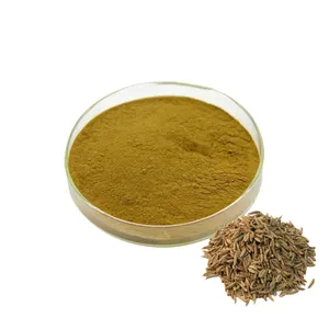 Supply Carum carvi L. Caraway Seeds Extract Powder Caraway Extract