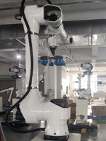 Bras robotique collaboratif industriel pour la palettisation, empilage de cartons de lait, de boissons et d'emballages électroniques, palettisation automatisée