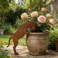 Pot de fleurs en fer en forme d'animal avec finition rustique, motif chien, design américain moderne, rural, européen
