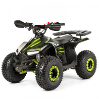 Minicuatrimoto Tao Motor 2024 Automática para Niños con Reversa y Transmisión por Cadena ATV 110cc Infantil