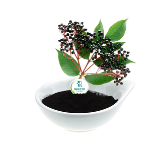 Fornitura del Produttore: Unguento di Estratto di Sambuco e Radice di Consolida in Contenitore di Vetro o Bottiglia - Product Image 5