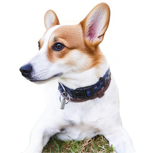 Dog Identification <b>Tag</b> Aluminum Alloy Anti Loss Pet Collar Pendant For Dogs Four Seasons Use - Product Image 1