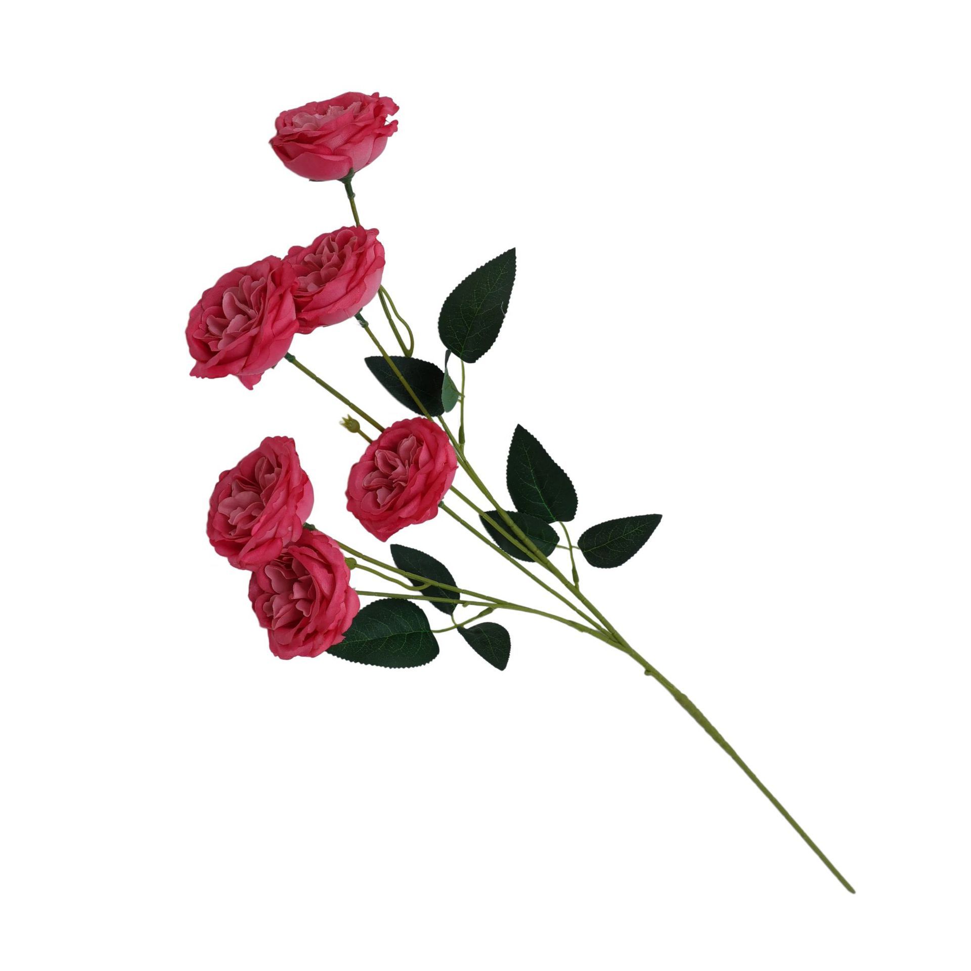 Rose rouge