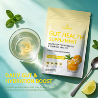 Aeglewell Gut Health Hydratiepoeder Mojito smaak Alcoholvrij Probiotische Mengsel Spijsverteringsondersteuning 0g Suiker 4g Netto Koolhydraten 150g