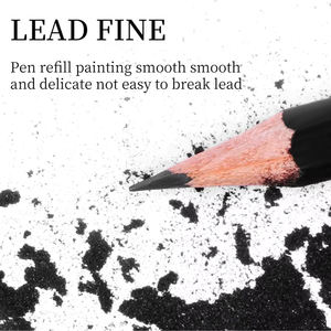 Panwenbo <span class=keywords><strong>matita</strong></span> grafite professionale disegno disegno a <span class=keywords><strong>matita</strong></span> Set HB 2H <span class=keywords><strong>F</strong></span> 2B 3B 4B 5B 6B 10B 12B pittura a <span class=keywords><strong>matita</strong></span> - Product Image 4