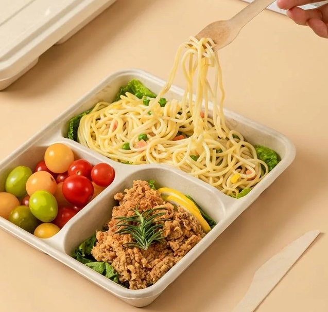 Biodegradable Disposable Food Trays Food Container