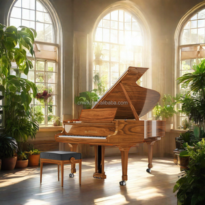 <span class=keywords><strong>Piano</strong></span> à queue acoustique brun pour l'école - Product Image 2