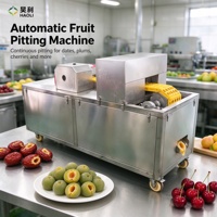 Automatische rode dadel ontpitmachine van roestvrij staal, olijf-, pruimen- en jujube-ontpitter voor fruitverwerkingsfabrieken