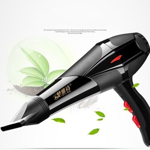 ไดร์เป่าผม 220V มอเตอร์ดีซี ร้อนและเย็น หัวเป่าลมแบบเดี่ยว เครื่องใช้ไฟฟ้าในครัวเรือน - Product Image 2