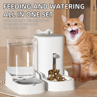 Distributeur automatique d'aliments pour animaux de compagnie de grande capacité, écologique, bouteille de stockage de nourriture pour chiens et chats, bol d'eau potable, design pliable en plastique durable