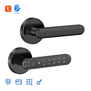 กุญแจล็อคอัจฉริยะแบบสแกนลายนิ้วมือ Tuya TTLock App สำหรับแป้นกดรหัส  วัสดุโลหะผสมสังกะสี  รองรับการ์ดห<span class=keywords><strong>น</strong></span>่วยความจำ  กระจก  สำหรับบ้าน สำ<span class=keywords><strong>น</strong></span>ักงา<span class=keywords><strong>น</strong></span>  ระบบรักษาความปลอดภัย  รองรับ OEM  ปรับแต่งได้ - Product Image 1