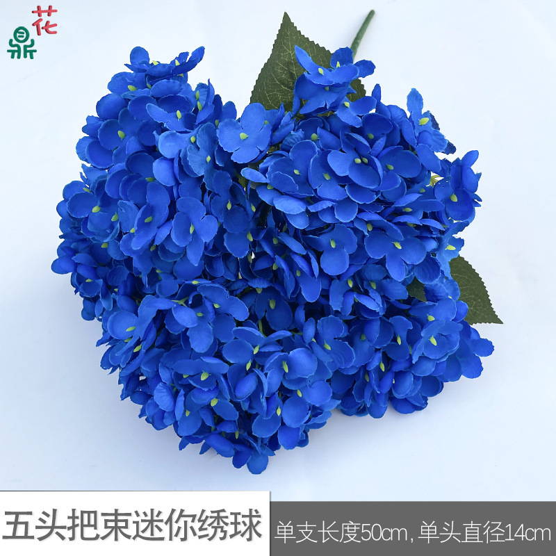 Mini Hortensia à cinq têtes WZT Bleu Foncé
