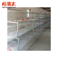 Cage automatique pour poulets de chair Yuanbao en forme de H Conception durable et peu encombrante pour une production de viande efficace