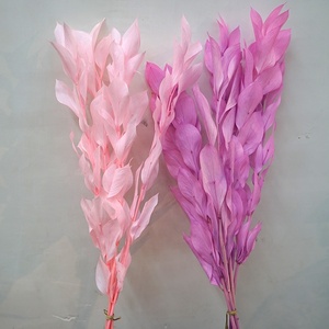 Vente en gros <span class=keywords><strong>bouquet</strong></span> de <span class=keywords><strong>fleurs</strong></span> <span class=keywords><strong>sèches</strong></span> naturelles fraîches conservées feuilles d'oranger fleur à tige séchée - Product Image 4